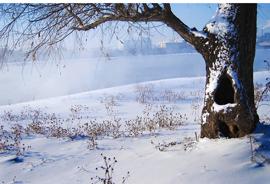 ��ҳ | 304am�����������޹�˾����